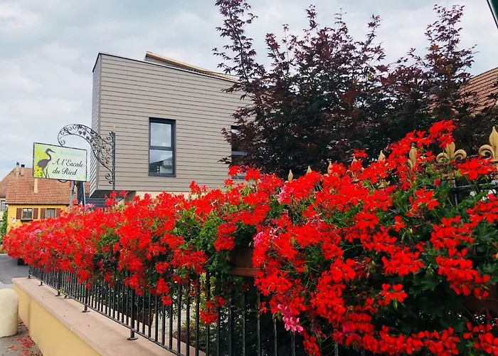 De L'escale 76 / 77 *